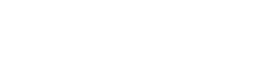 Invicti Logo